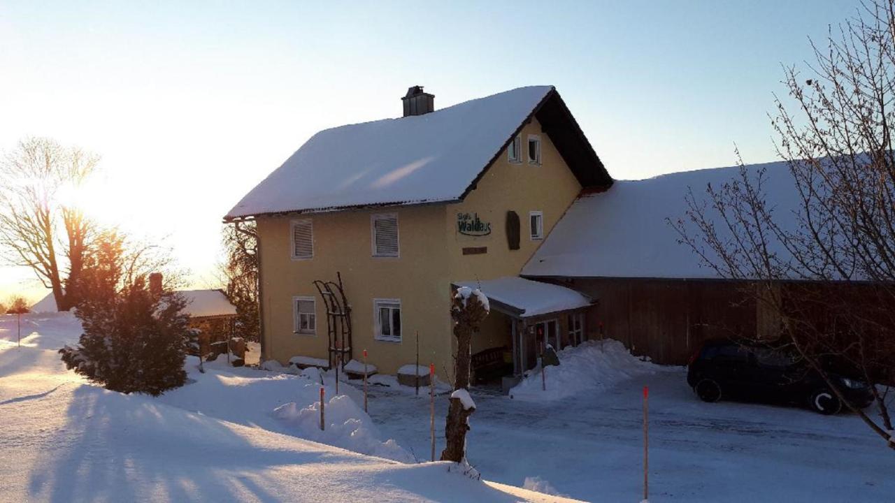 Ferienwohnung Sigi'S Waldhaus Neuschönau Exterior foto